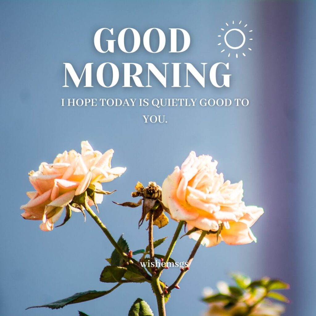 80 Nice Morning Messages for Her