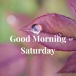 Good Morning Saturday