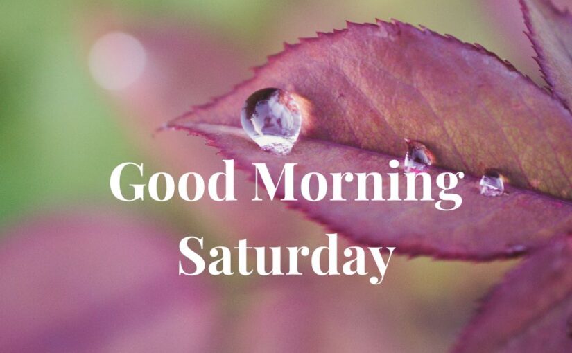 Good Morning Saturday
