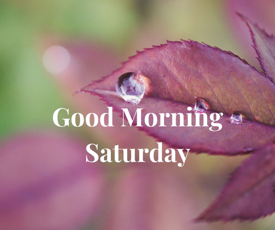 Good Morning Saturday