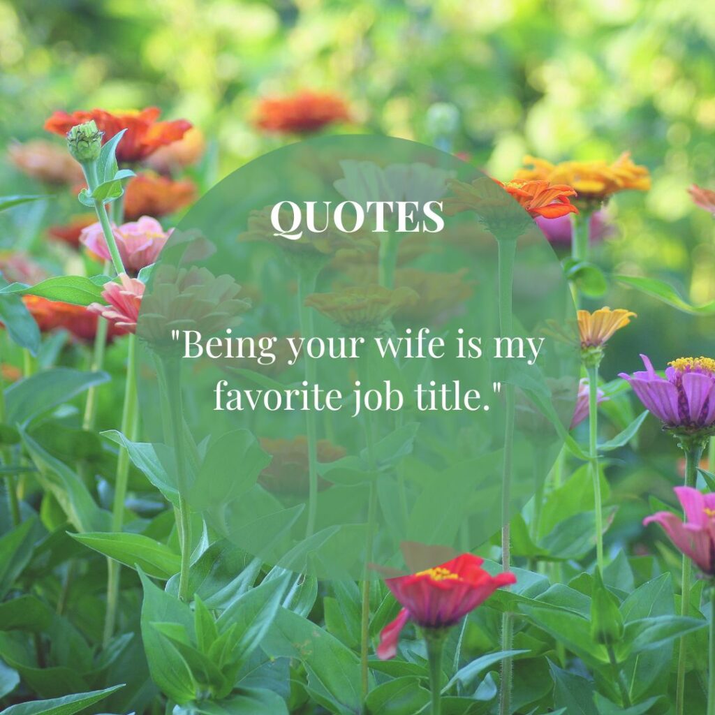 Cute Hubby Quotes