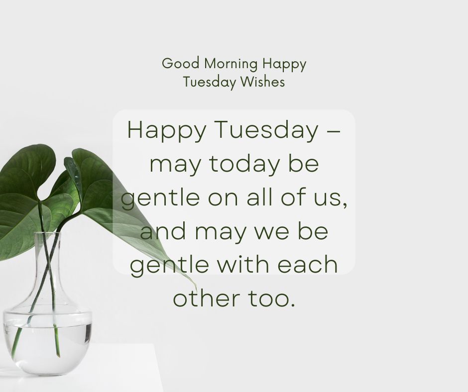 Family Tuesday Blessings