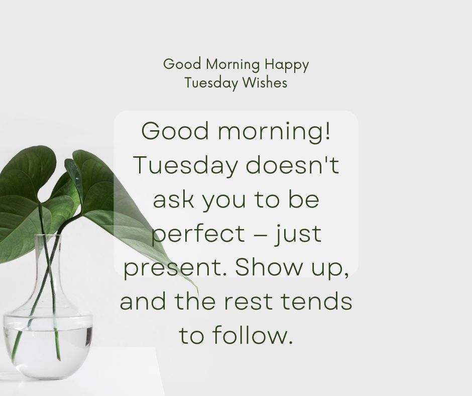 Good Morning Happy Tuesday Wishes