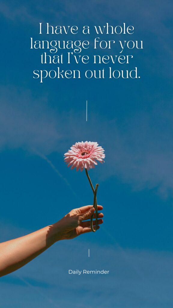 Hidden Love Quotes