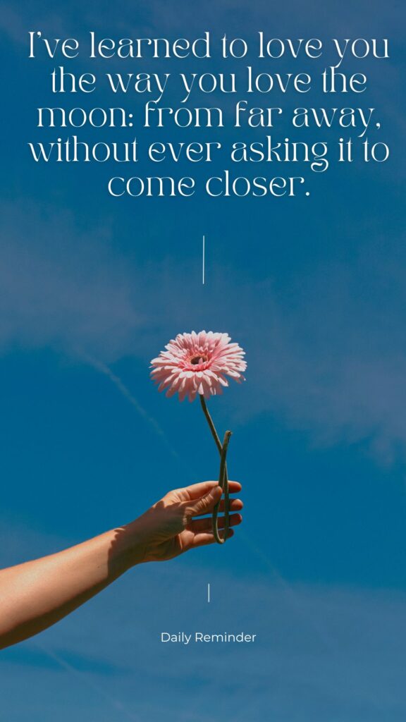 Love From Afar Quotes