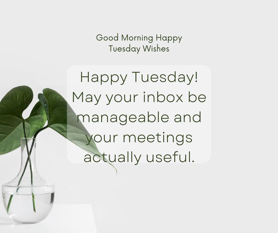 Motivational Tuesday Wishes for Work