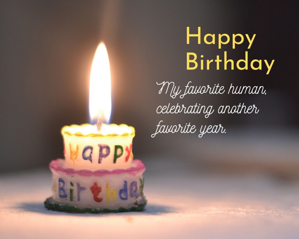 One-Line Birthday Quotes