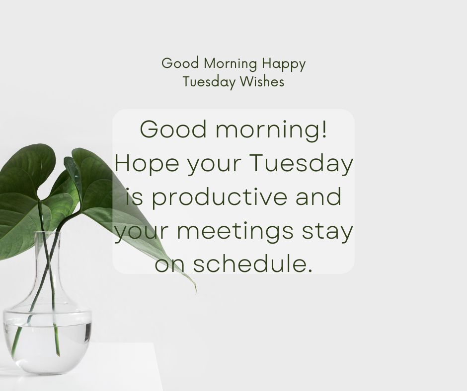 Professional Tuesday Wishes for Coworkers