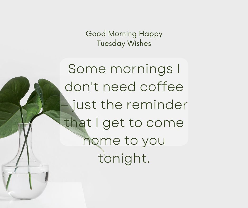 Romantic Tuesday Messages