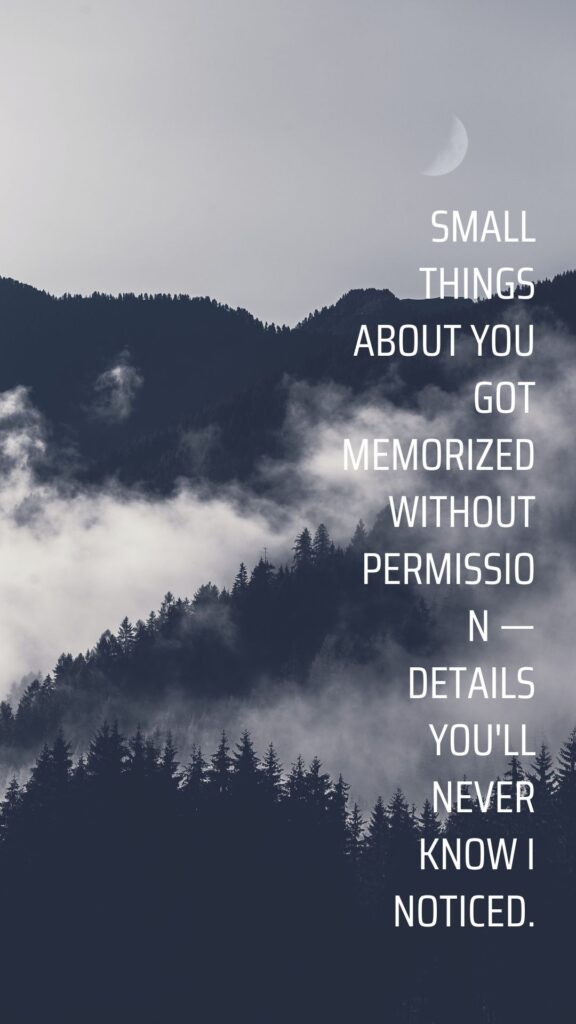 Secret Crush Quotes