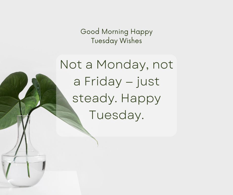 Tuesday Captions for Social Media