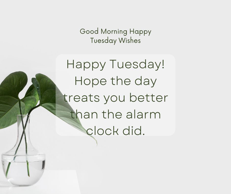 WhatsApp Good Morning Tuesday Messages