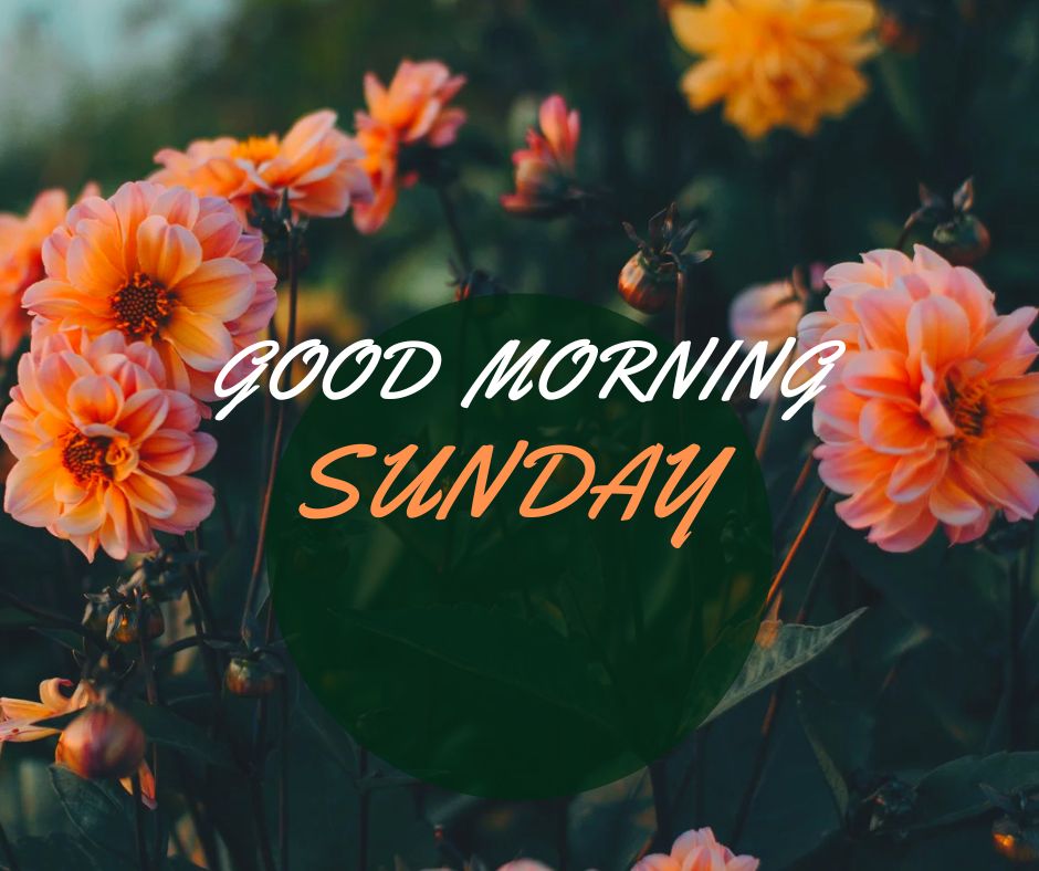 good morning of sunday