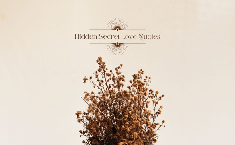 hidden secret love quotes